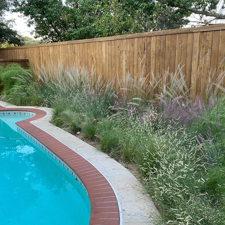 Pool Friendly Landscaping Pool Friendly Landscaping