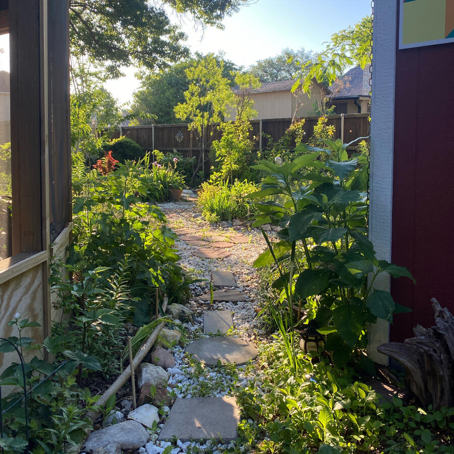 My Personal Garden Cedar Hill, TX