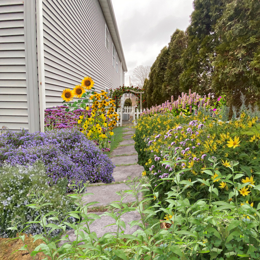 Fall River MA Rendering of Garden